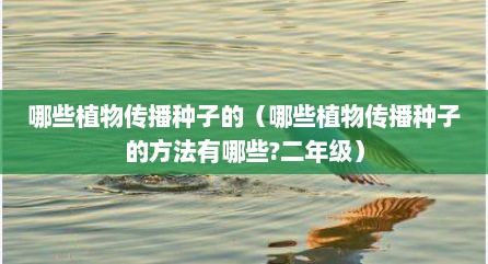 哪些植物传播种子的（哪些植物传播种子的方法有哪些?二年级）