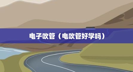 电子吹管（电吹管好学吗）
