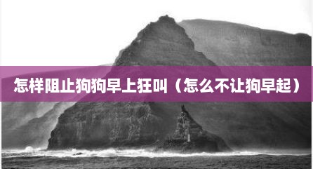 怎样阻止狗狗早上狂叫（怎么不让狗早起）