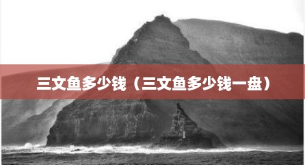 三文鱼多少钱（三文鱼多少钱一盘）