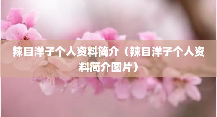 辣目洋子个人资料简介（辣目洋子个人资料简介图片）