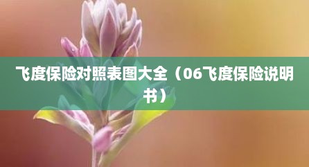 飞度保险对照表图大全（06飞度保险说明书）