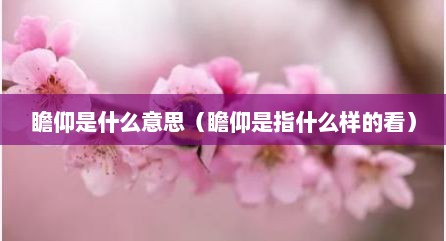 瞻仰是什么意思（瞻仰是指什么样的看）