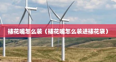 裱花嘴怎么装（裱花嘴怎么装进裱花袋）