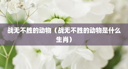 战无不胜的动物（战无不胜的动物是什么生肖）