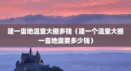 建一亩地温室大棚多钱（建一个温室大棚一亩地需要多少钱）