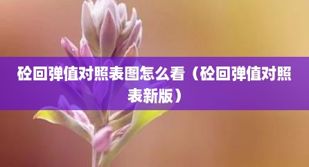 砼回弹值对照表图怎么看（砼回弹值对照表新版）