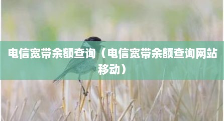 电信宽带余额查询（电信宽带余额查询网站移动）