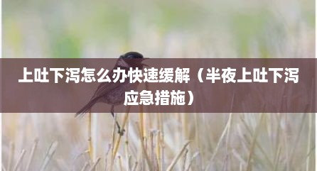 上吐下泻怎么办快速缓解（半夜上吐下泻应急措施）