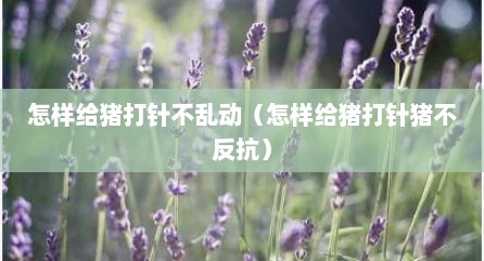 怎样给猪打针不乱动（怎样给猪打针猪不反抗）