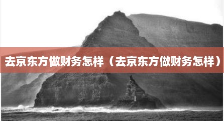去京东方做财务怎样（去京东方做财务怎样）