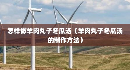 怎样做羊肉丸子冬瓜汤（羊肉丸子冬瓜汤的制作方法）