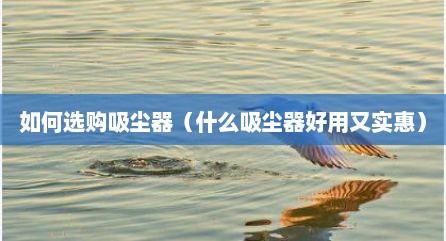 如何选购吸尘器（什么吸尘器好用又实惠）