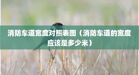 消防车道宽度对照表图（消防车道的宽度应该是多少米）