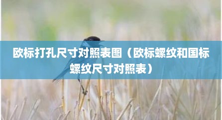 欧标打孔尺寸对照表图（欧标螺纹和国标螺纹尺寸对照表）