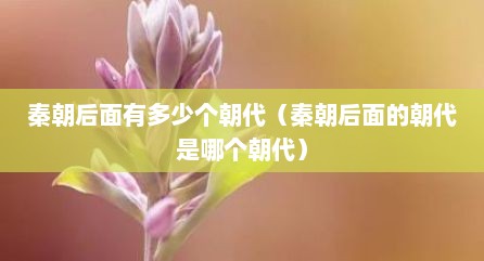 秦朝后面有多少个朝代（秦朝后面的朝代是哪个朝代）