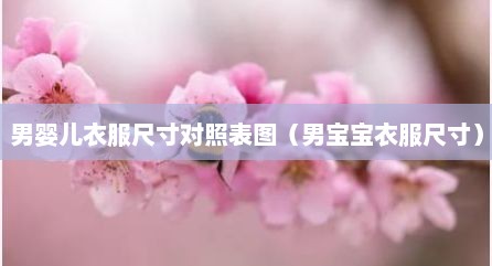 男婴儿衣服尺寸对照表图（男宝宝衣服尺寸）