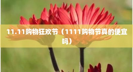 11.11购物狂欢节（1111购物节真的便宜吗）