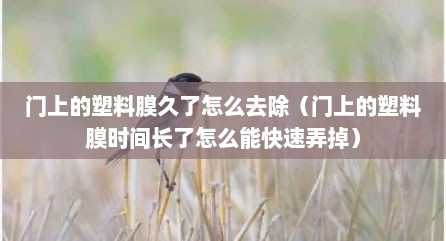 门上的塑料膜久了怎么去除（门上的塑料膜时间长了怎么能快速弄掉）