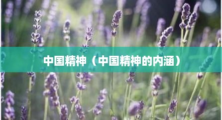 中国精神（中国精神的内涵）