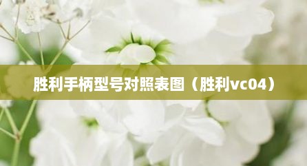 胜利手柄型号对照表图（胜利vc04）