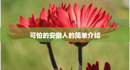 可怕的安徽人的简单介绍