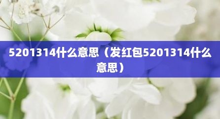 5201314什么意思（发红包5201314什么意思）