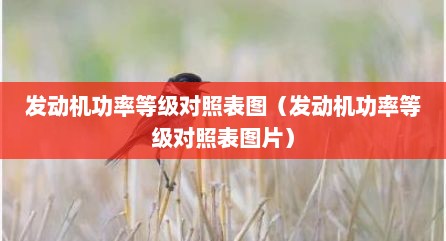 发动机功率等级对照表图（发动机功率等级对照表图片）