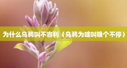 为什么乌鸦叫不吉利（乌鸦为啥叫唤个不停）