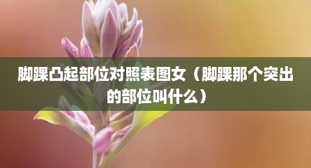 脚踝凸起部位对照表图女（脚踝那个突出的部位叫什么）
