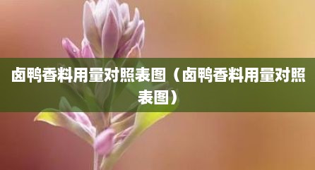 卤鸭香料用量对照表图（卤鸭香料用量对照表图）