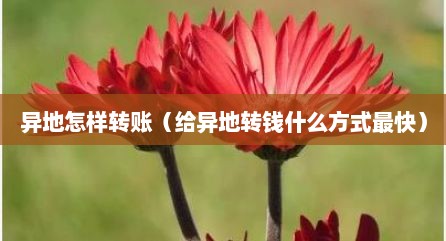 异地怎样转账（给异地转钱什么方式最快）