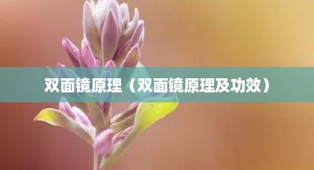 双面镜原理（双面镜原理及功效）