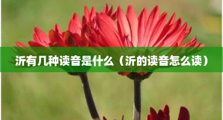 沂有几种读音是什么（沂的读音怎么读）