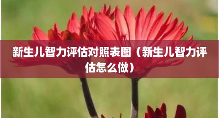 新生儿智力评估对照表图（新生儿智力评估怎么做）