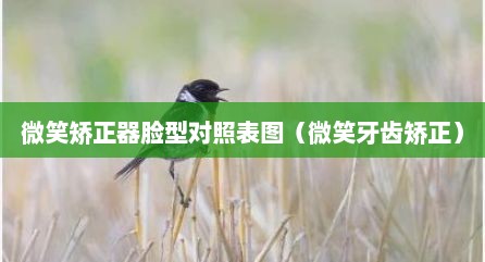 微笑矫正器脸型对照表图（微笑牙齿矫正）