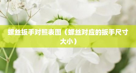 螺丝扳手对照表图（螺丝对应的扳手尺寸大小）