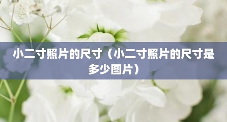小二寸照片的尺寸（小二寸照片的尺寸是多少图片）