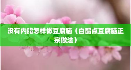 没有内脂怎样做豆腐脑（白醋点豆腐脑正宗做法）