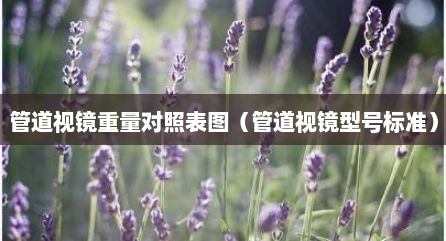 管道视镜重量对照表图（管道视镜型号标准）