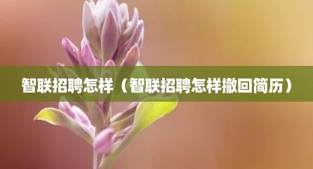 智联招聘怎样（智联招聘怎样撤回简历）