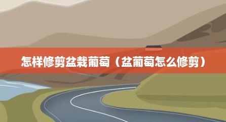 怎样修剪盆栽葡萄（盆葡萄怎么修剪）