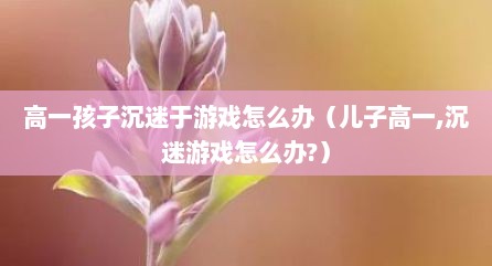 高一孩子沉迷于游戏怎么办（儿子高一,沉迷游戏怎么办?）