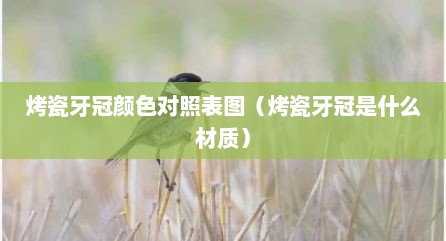 烤瓷牙冠颜色对照表图（烤瓷牙冠是什么材质）