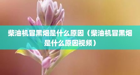 柴油机冒黑烟是什么原因（柴油机冒黑烟是什么原因视频）