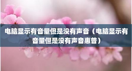 电脑显示有音量但是没有声音（电脑显示有音量但是没有声音惠普）