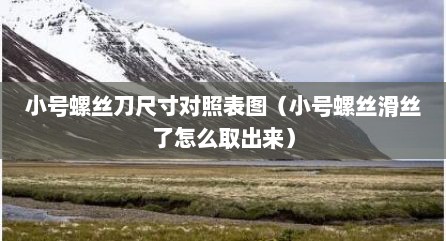 小号螺丝刀尺寸对照表图（小号螺丝滑丝了怎么取出来）