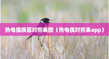 热电偶换算对照表图（热电偶对照表app）