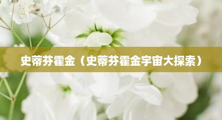 史蒂芬霍金（史蒂芬霍金宇宙大探索）