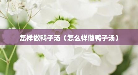 怎样做鸭子汤（怎么样做鸭子汤）